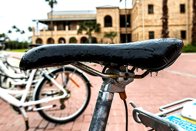 ICY BIKE: First, it snowed. Now – freezing rain! The University of Texas Rio Grande Valley delayed classes and campus activities until 9 a.m. on Jan. 17, to make sure students, faculty, staff and visitors had plenty of time to get to their respective campuses safely. Temperatures dipped into the low 30s, but the “real feel” temperatures were more Arctic – in the low 20s, in fact – making getting around campus a chilly enterprise. This icy bicycle seat on the Brownsville Campus says it all. (UTRGV Photo by David Pike)