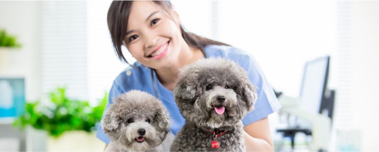 Veterinary Assistant Program  More Info