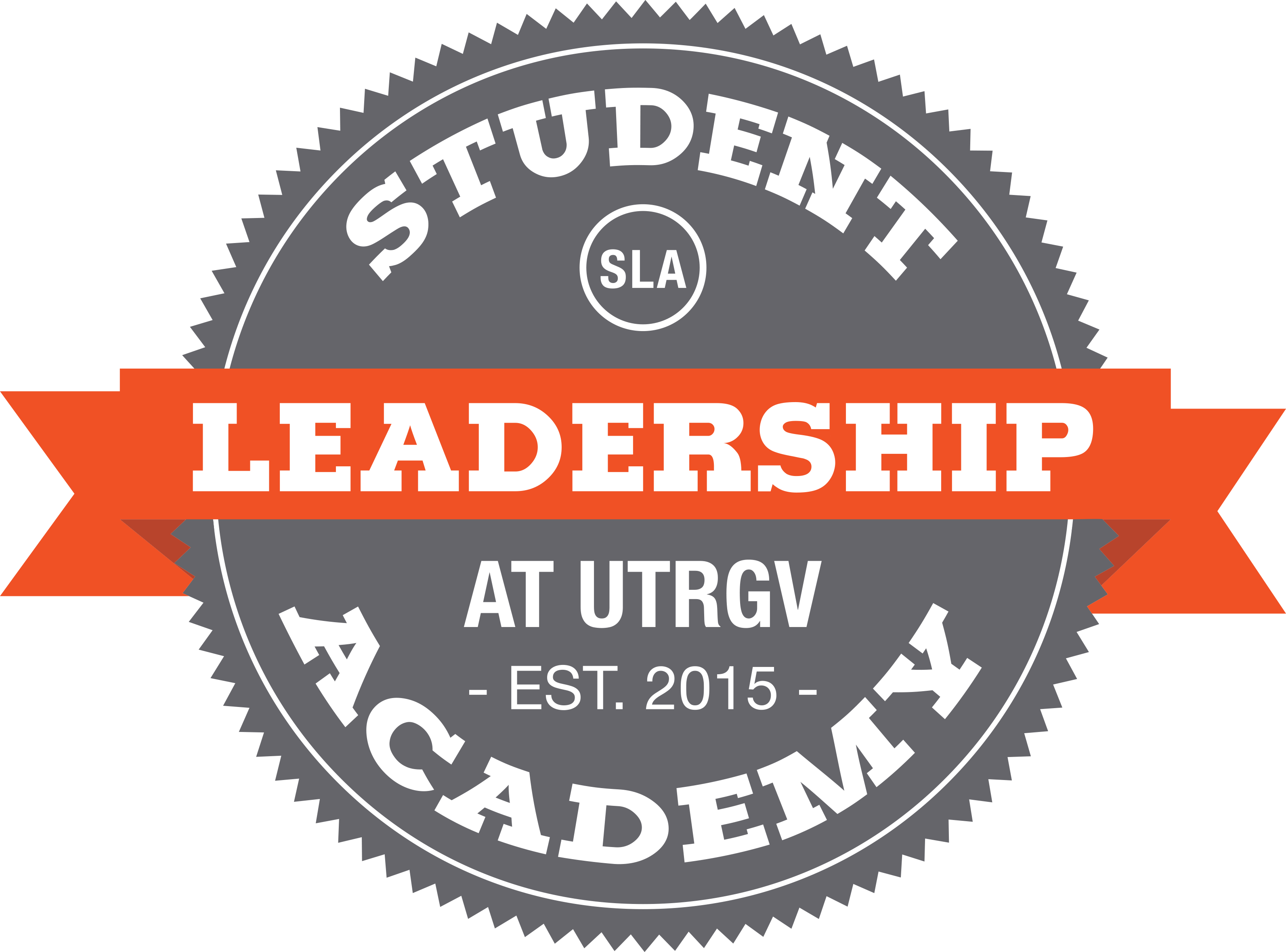  Student Leadership Academy logo