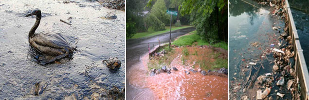 Images of polluted stormwater runoff and effects.