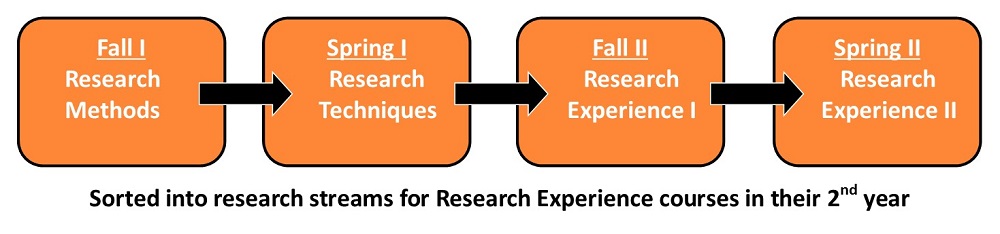 FRI course sequence: Fall 1 - Research Methods, Spring 1 - Research Techmiques, Fall II Research Experience 1, Spring 2- Research Experience 2. Sorted into research streams for Research Experience courses in their second year