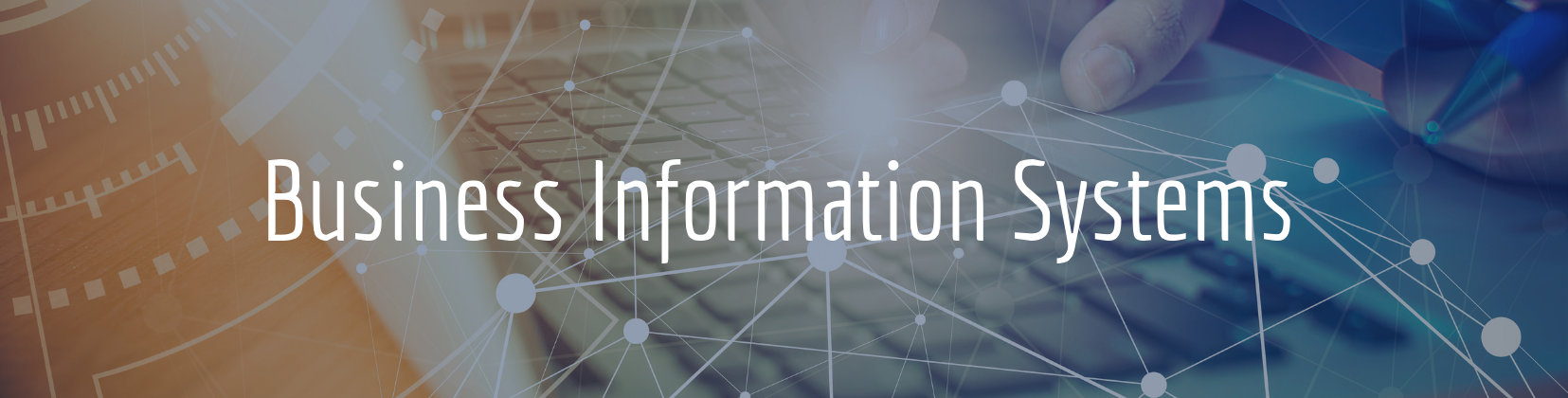 Business Information Systems Banner