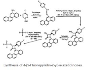 4 -(5 Fluoropyridin 2 yl) 2azetidinones to fight against drug resistant pancreatic cancer