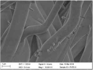 Scalable and Facile in Situ Synthesis of Nanoparticles Resulting in Decorated Multifunctional Fibers