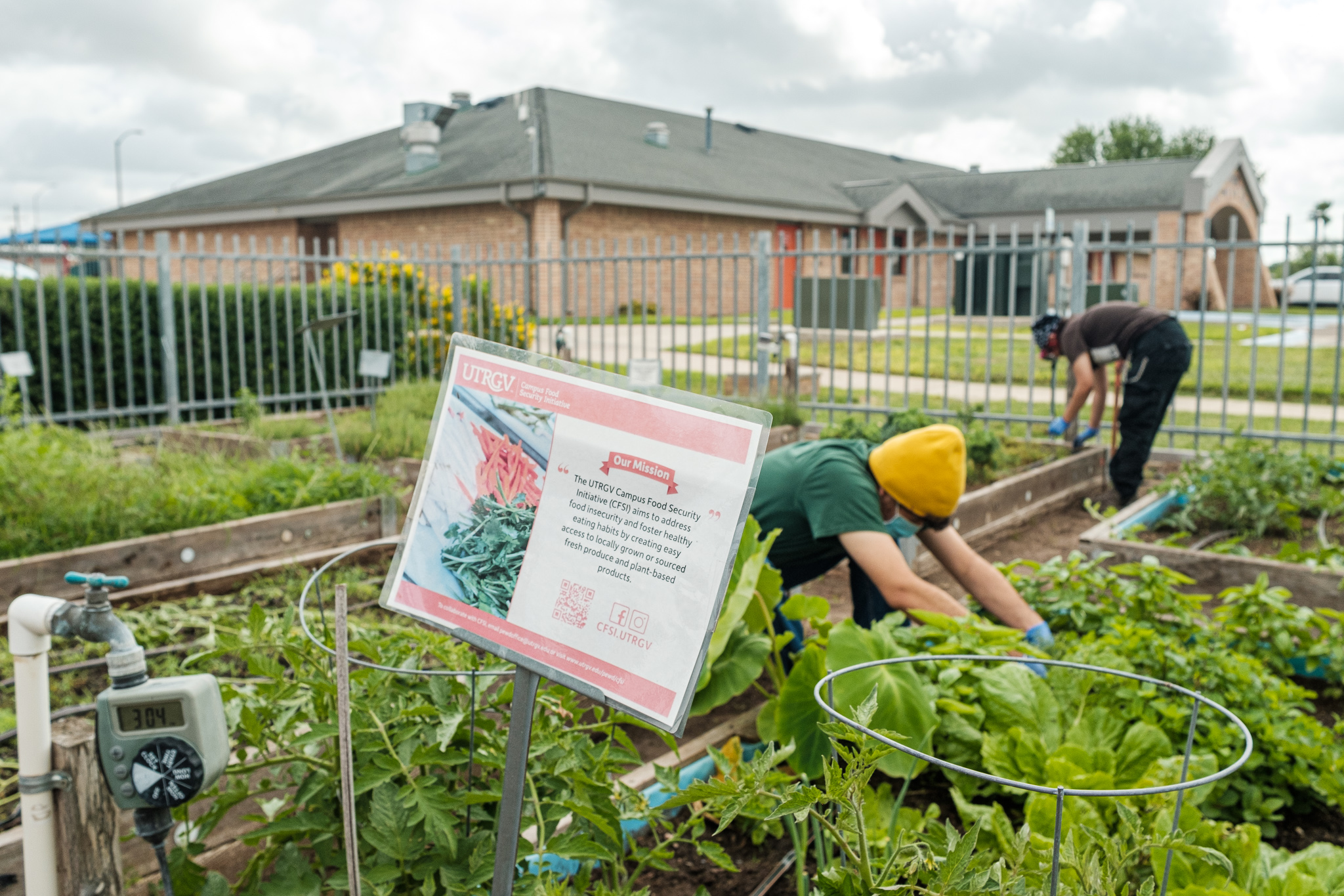 CFSI Volunteers looking over the garden