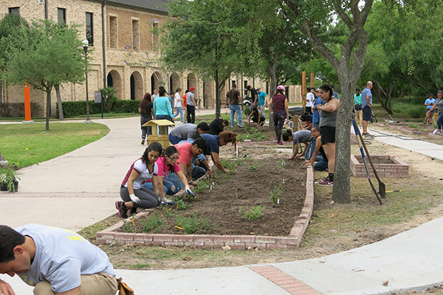 Students work on adding plants to the garden. Photo: JA Mustard