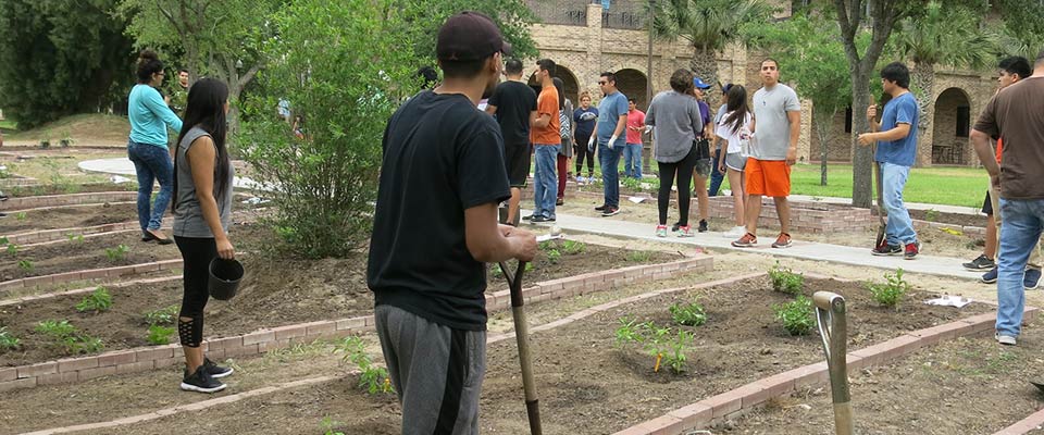 Student volunteers plant the garden. Photo: JA Mustard