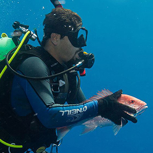 Scubadiver holding Red Snapper