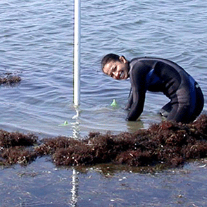 Coastal Resilience  