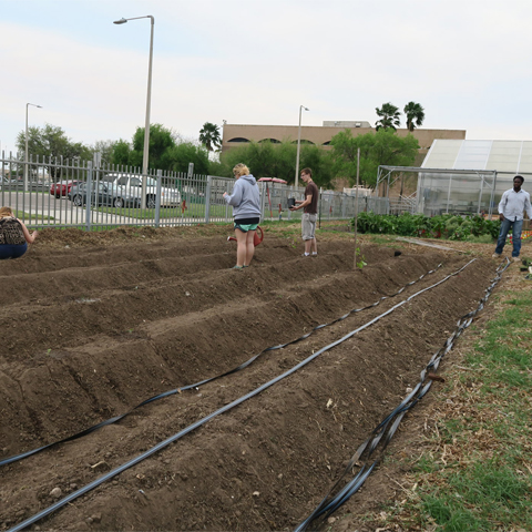 picture of 4 people at the community garden by a land of soil and the greenhouse at the back photo from UTRGV Agroecology