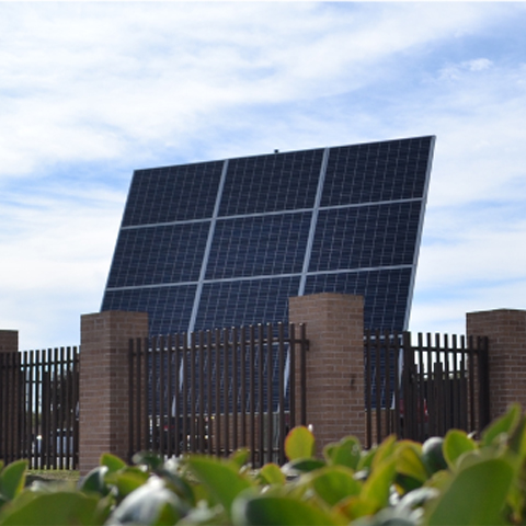 another picture of a tracking solar array on UTRGV's Edinburgh Campus