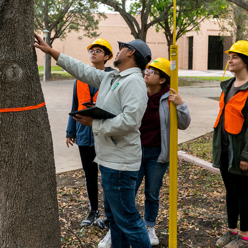 picture of students and a teacher studying a tree