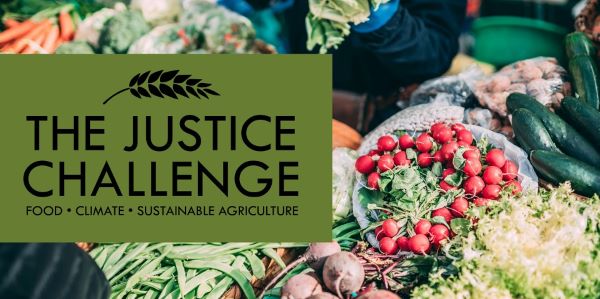 The Justice Challenge (Illustration by UTRGV Honors College)
