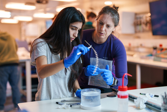 Erin Easton (UTRGV assistant professor with the School of Earth, Environmental and Marine Sciences and Schmidt Ocean Institute scientist) and Elyssia Gonzalez (a UTRGV grad student pursuing a master’s degree in Ocean, Coast and Earth Sciences) work together in the Research Vessel Falkor (too)'s Main Lab. Credit: Alex Ingle / Schmidt Ocean Institute