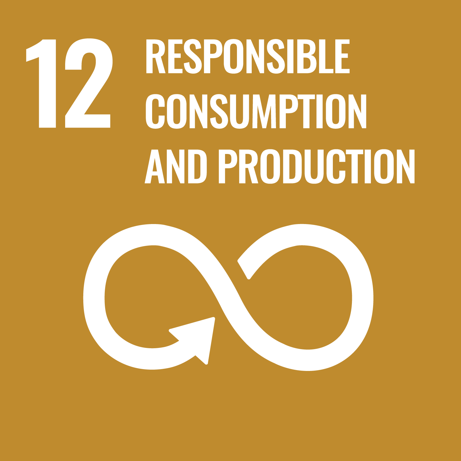 United Nations Sustainable Development Goal Number 12 Ensure sustainable consumption and production patterns