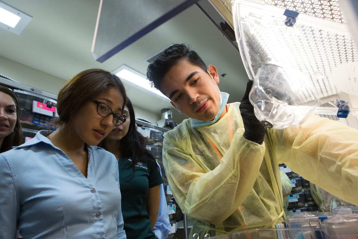 Students work in a state-of-the art lab at UTRGV
