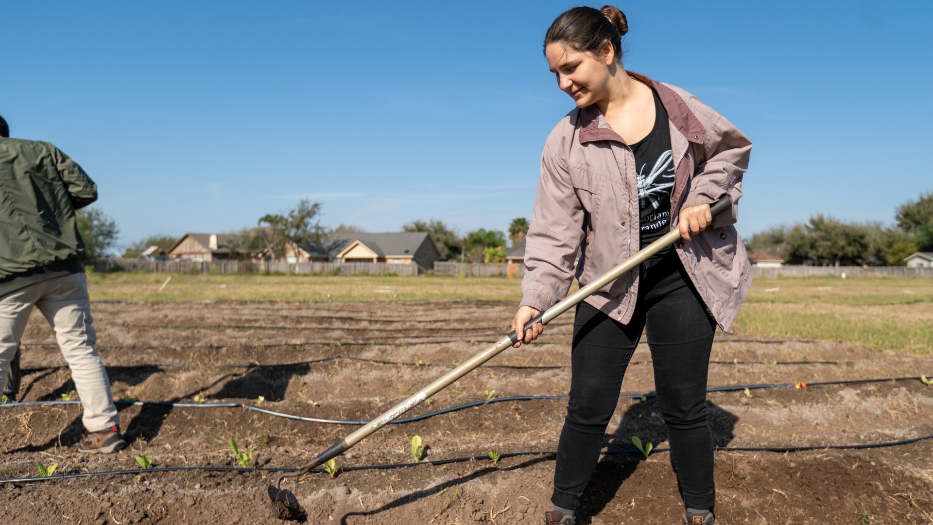 student tending to planted crops breaking soil with hoe