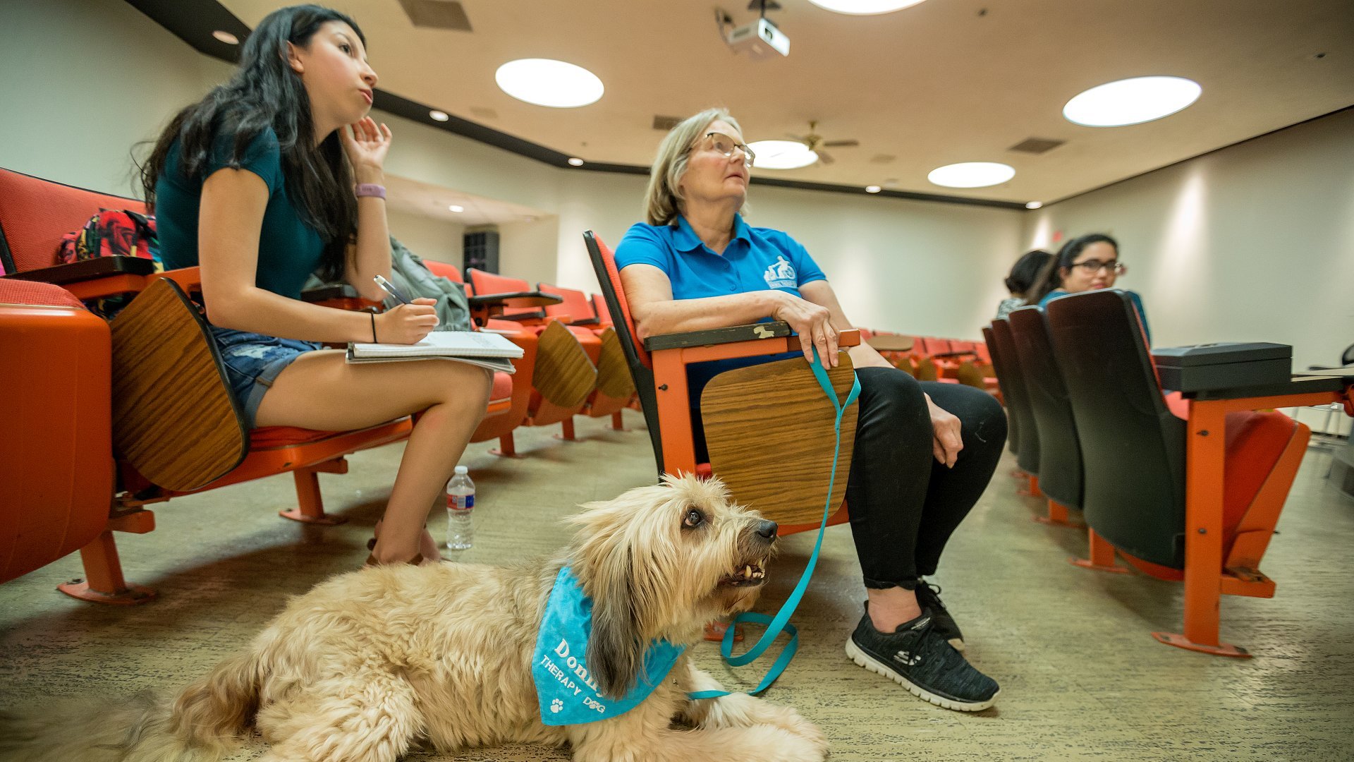 addiction studies students and a guide dog