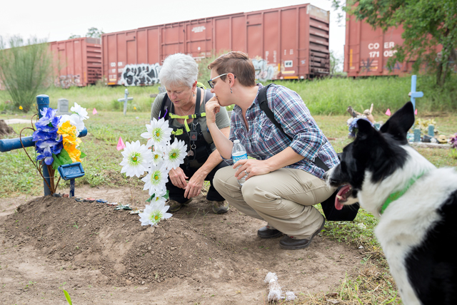 Dr. Sarah Rowe (at right), UTRGV assistant professor of sociology and anthropology, is seen here working with Lynne Engelbert (at left), a K9 search specialist from California with the Institute for Canine Forensics, and Piper, one of two search dogs, to help detect human remains at the Hidalgo County Pauper Cemetery. The cemetery closed in the early 1990s, leaving many graves unmarked and decades of records, including the names and locations of the deceased, lost or abandoned. Rowe is working with Hidalgo County to help recuperate that information, and the K-9 search dogs alone have been successful in finding at least 20 previously unidentified graves. The project is part of a service learning class in which some of Rowe’s students work to identify burial sites. (UTRGV Photo by Paul Chouy)