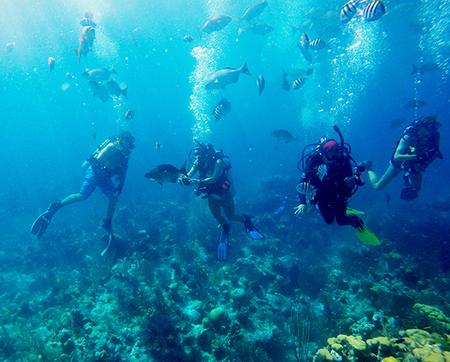 UTRGV students studying abroad in Belize this summer explored one of the most famous dive sites in the world – the Great Blue Hole, part of the Mesoamerican Barrier Reef, which is the largest coral barrier reef in the Western Hemisphere – during the Ocean, Coastal and Earth Sciences course on coral reef ecology. Students used data collected during the dives for their individual research projects. The course, led by Dr. David Hicks, director of the UTRGV School of Earth, Environmental and Marine Sciences, also took them to a tropical education center in the rain forest. (Courtesy Photos)