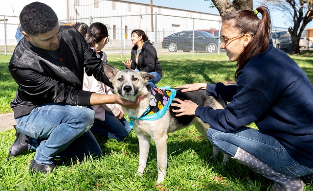 UTRGV students caring for dog