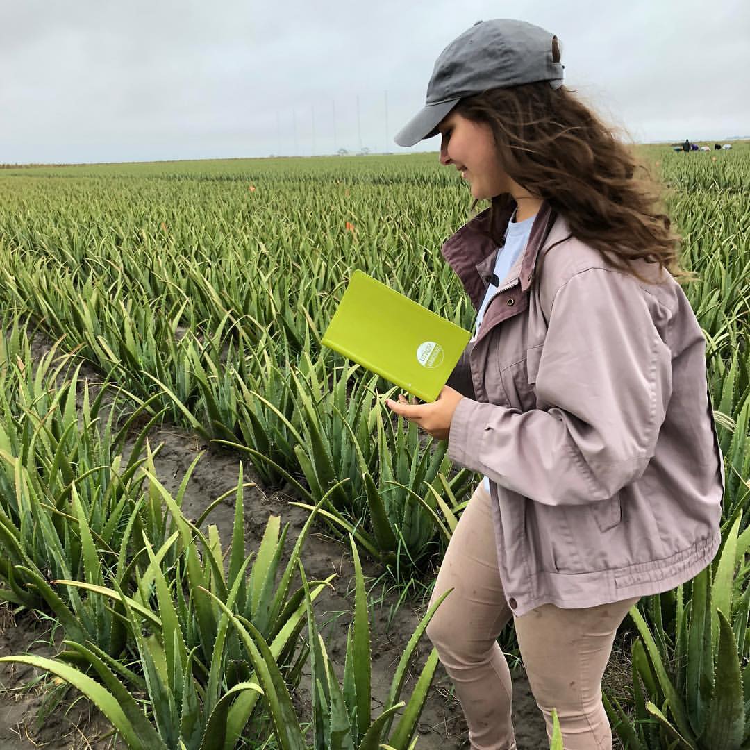 student walks in field of crop