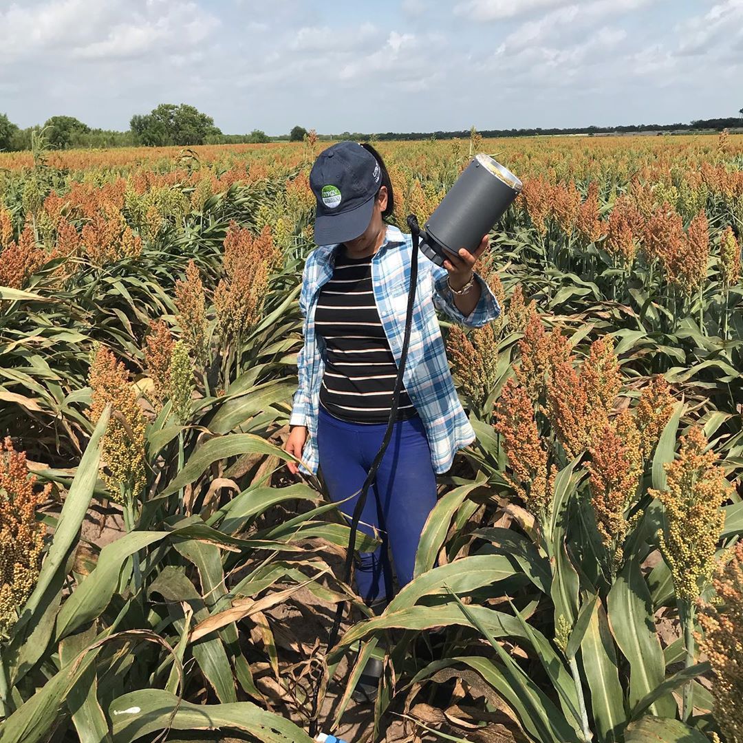 student holds research instrument in Hilltop research field