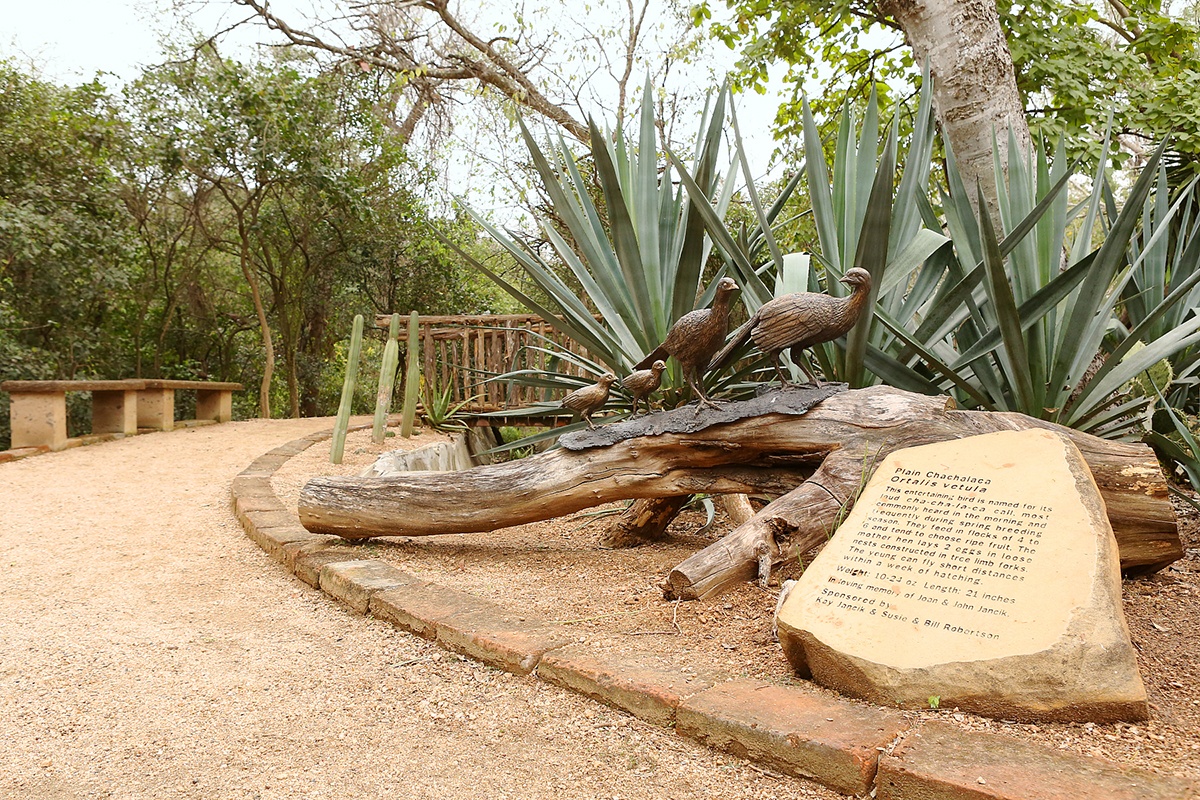 Quinta Mazatlan