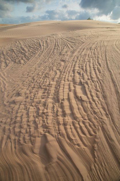 Rippled Dune