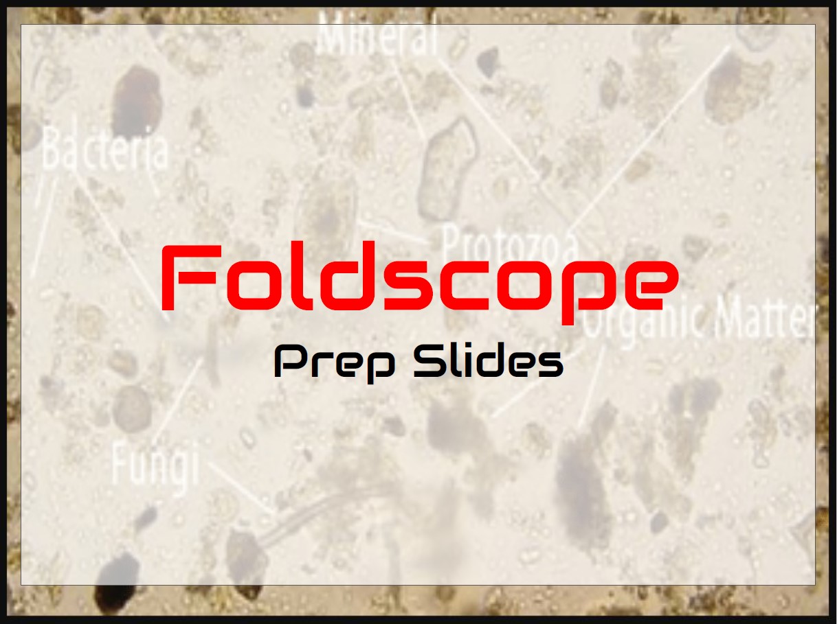 Foldscope Slide Prep Instructions