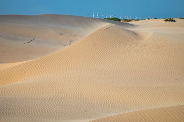 Kenedy Ranch Dunes with Wind Turbines in Background