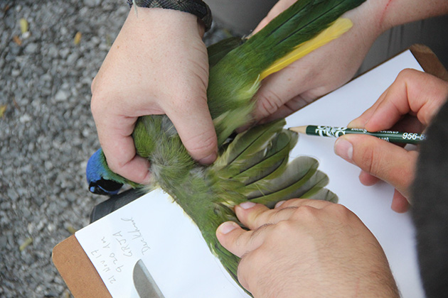Students examining bird