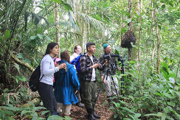 Independent Research Group in Rainforest