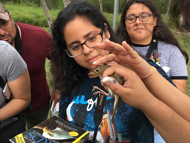 Students studying bird