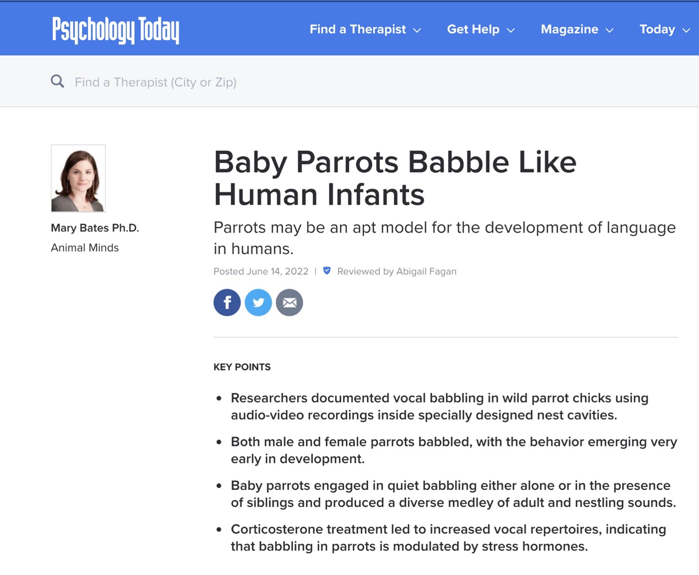 baby parrots babble like human-infants.jpg