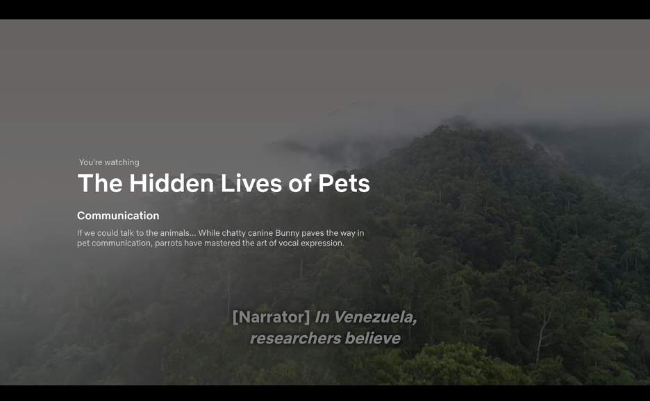 netflix-the-hidden-lives-of-pets