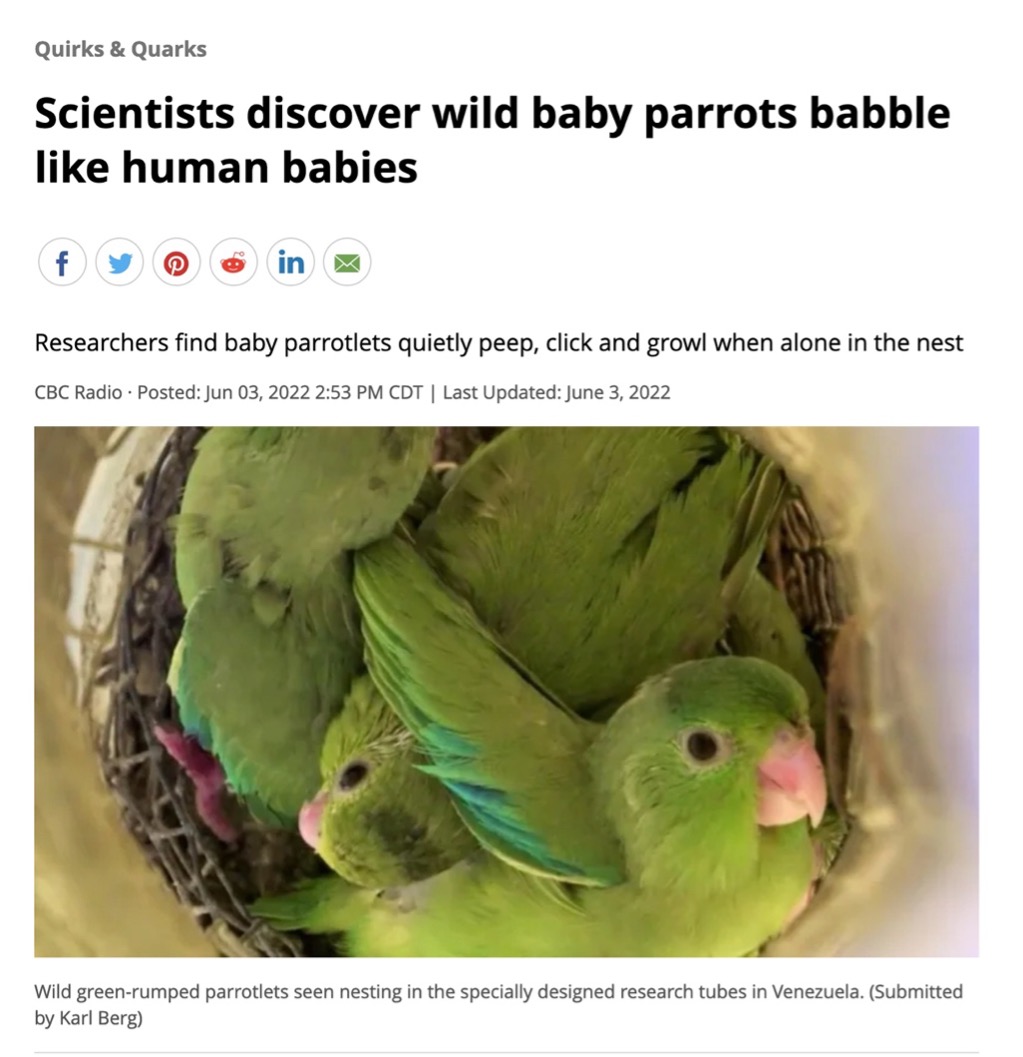 scientists-discover-wild.jpg