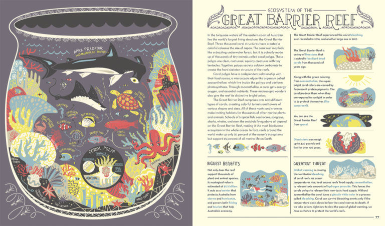 Florida’s mangrove swamp ecosystem illustrated post content graphic.