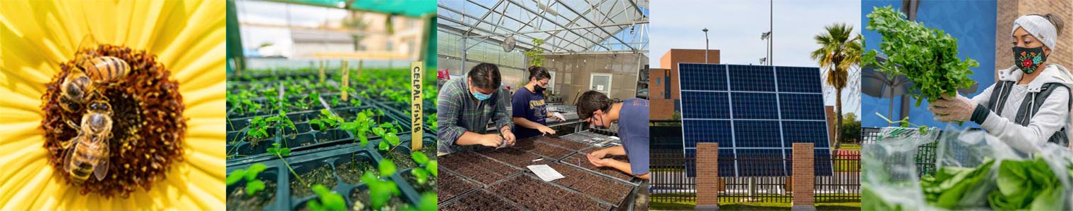 Sustainability banner thin