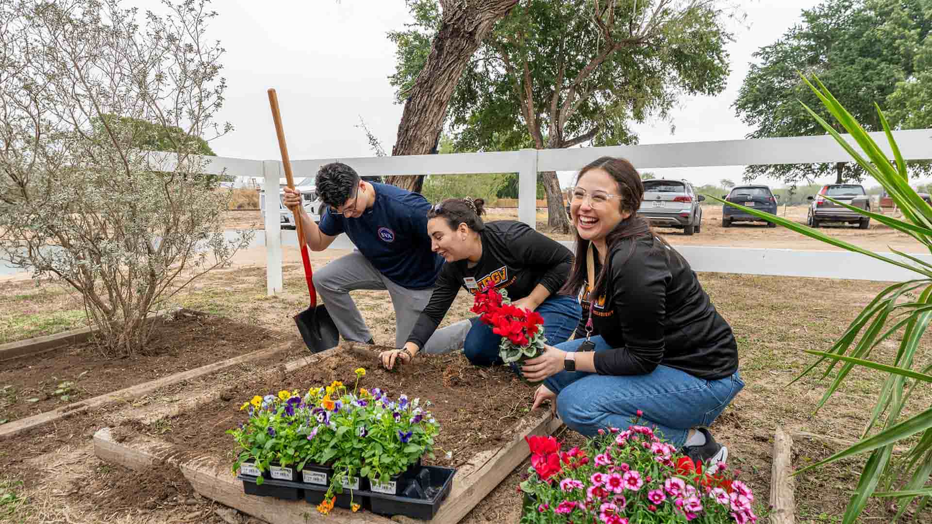 vaquero volunteers planting native flowers inside prepared flower bed garden
