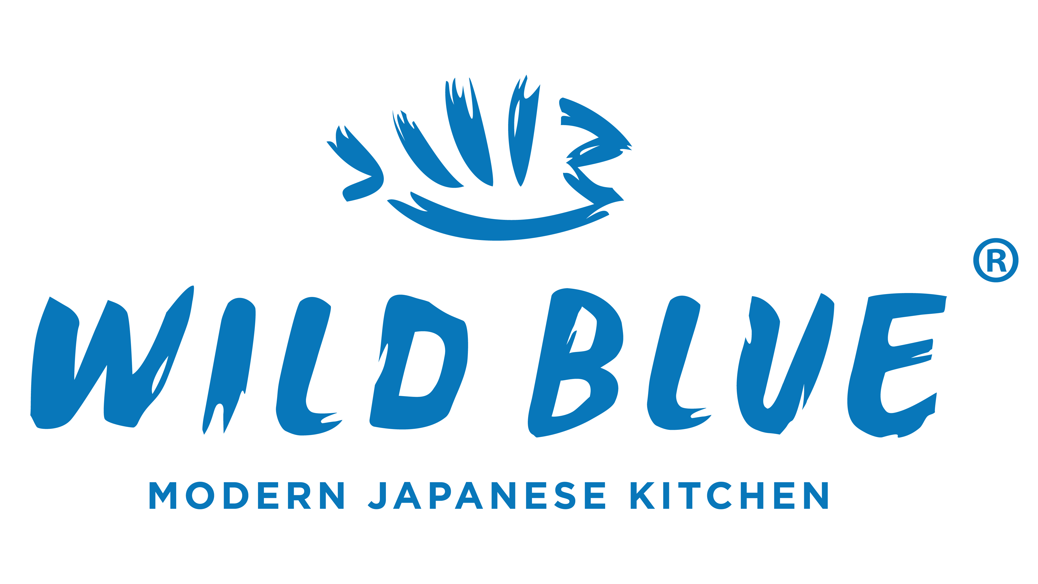 Wild Blue Page Banner 