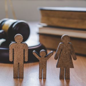 Family Law Course