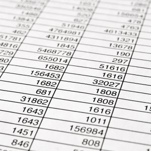 Excel Basics