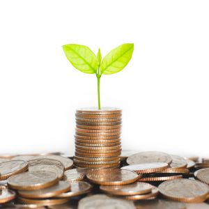 Fundraising for Nonprofit Organizations