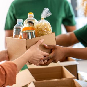 Nonprofit Board and Volunteer Development
