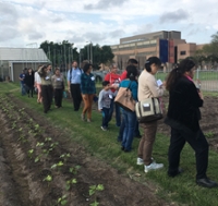 communitygarden