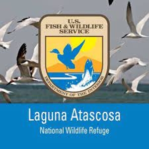 Laguna Atascosa National Wildlife Refuge