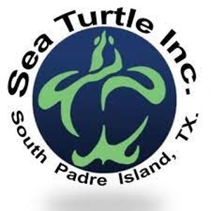 Sea Turtle, Inc.