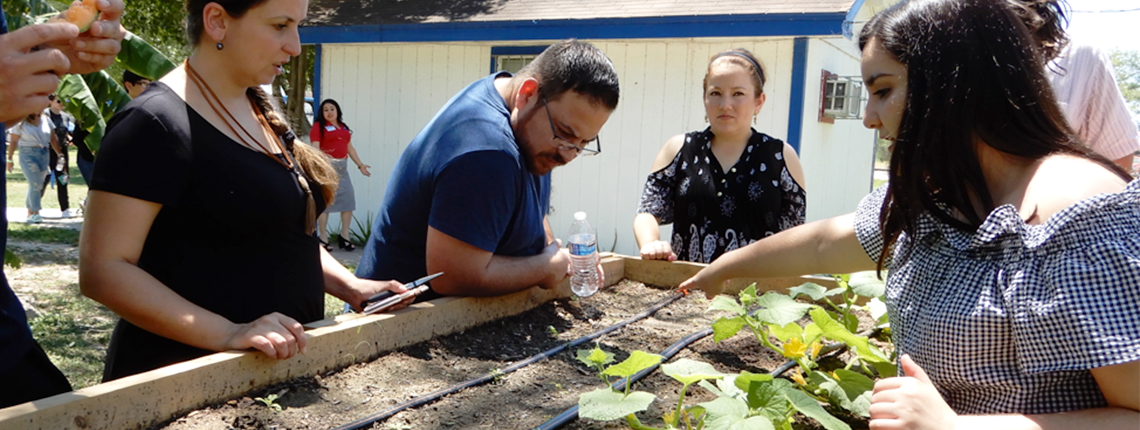 group looks at a garden bed