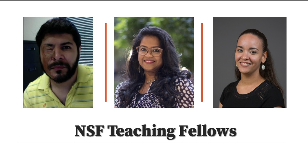 2020-2021 NSF Teaching Fellows.
